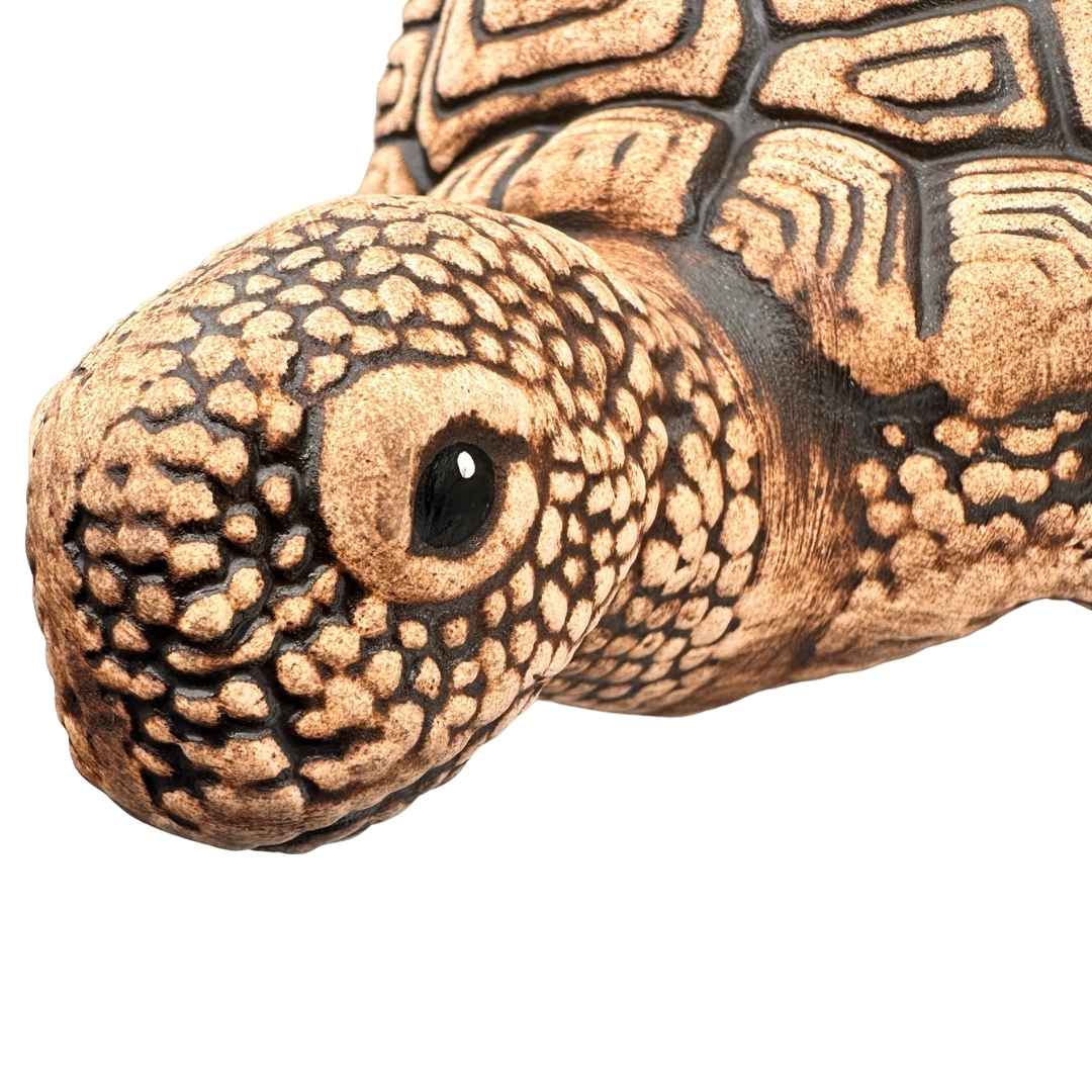 Detail keramické želvy Rozárky